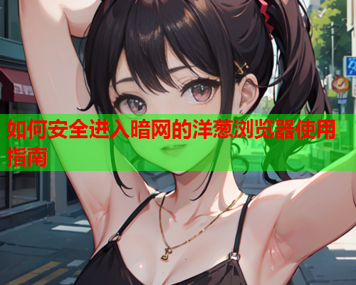 如何安全进入暗网的洋葱浏览器使用指南