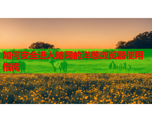 如何安全进入暗网的洋葱浏览器使用指南