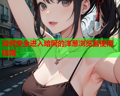 如何安全进入暗网的洋葱浏览器使用指南
