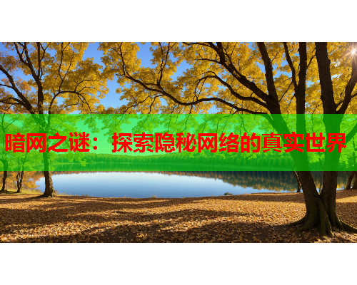 暗网之谜：探索隐秘网络的真实世界