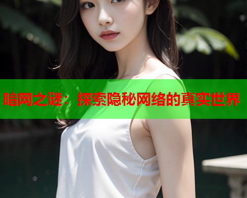 暗网之谜：探索隐秘网络的真实世界