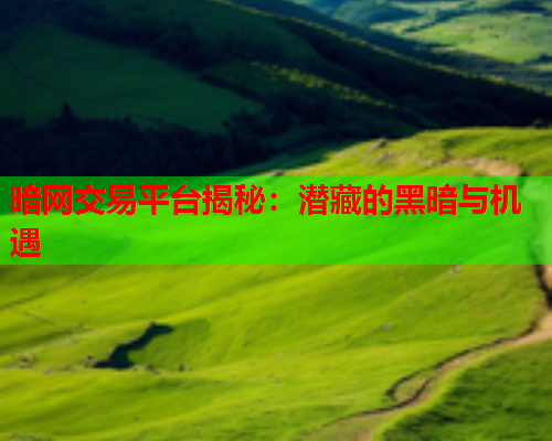 暗网交易平台揭秘：潜藏的黑暗与机遇