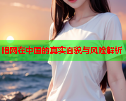 暗网在中国的真实面貌与风险解析