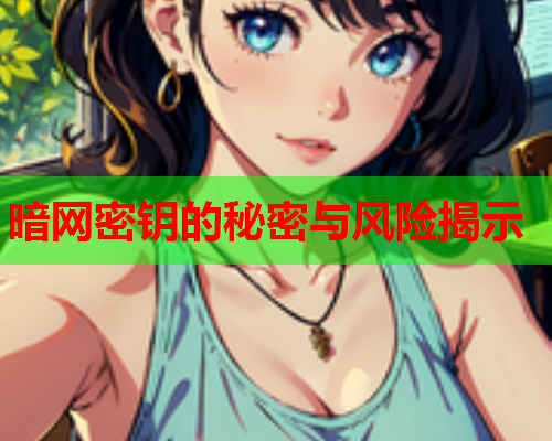 暗网密钥的秘密与风险揭示