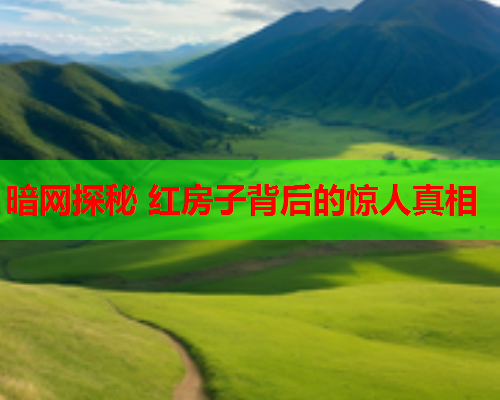 暗网探秘 红房子背后的惊人真相