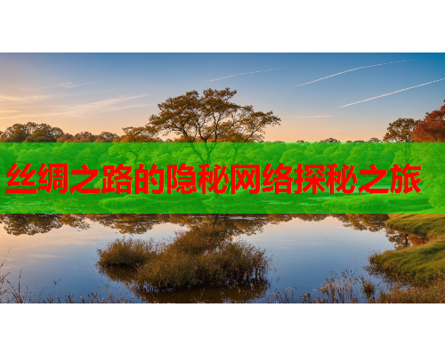 丝绸之路的隐秘网络探秘之旅