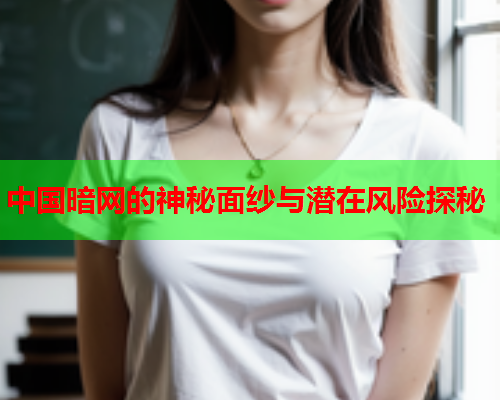 中国暗网的神秘面纱与潜在风险探秘