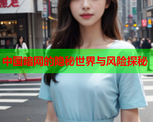 中国暗网的隐秘世界与风险探秘