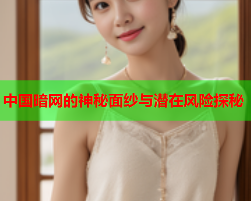 中国暗网的神秘面纱与潜在风险探秘