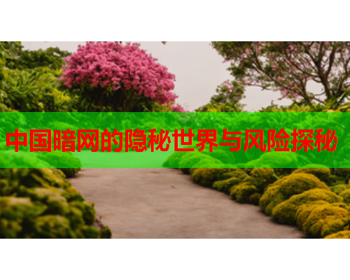 中国暗网的隐秘世界与风险探秘