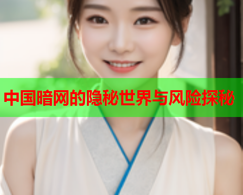 中国暗网的隐秘世界与风险探秘