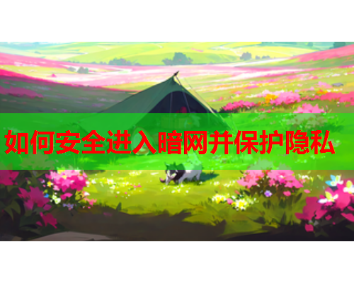 如何安全进入暗网并保护隐私