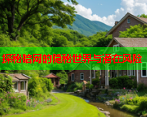 探秘暗网的隐秘世界与潜在风险