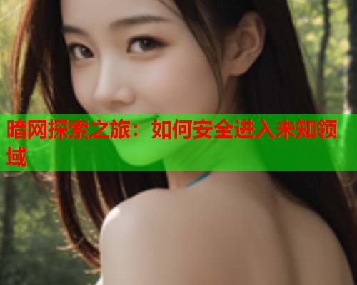 暗网探索之旅：如何安全进入未知领域