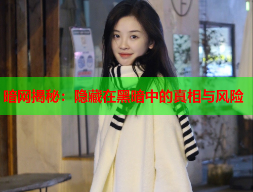 暗网揭秘：隐藏在黑暗中的真相与风险