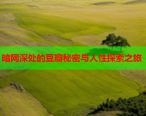 暗网深处的豆瓣秘密与人性探索之旅