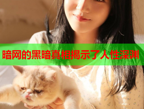 暗网的黑暗真相揭示了人性深渊
