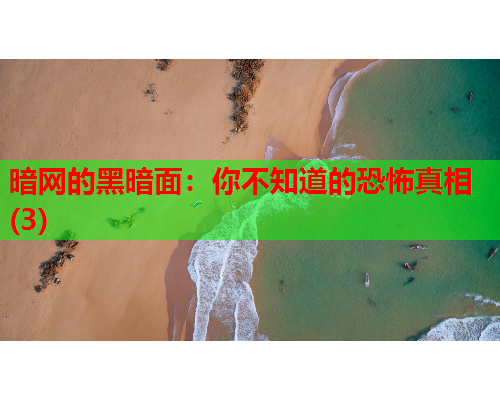 暗网的黑暗面：你不知道的恐怖真相(3)