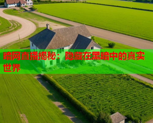 暗网直播揭秘：隐藏在黑暗中的真实世界