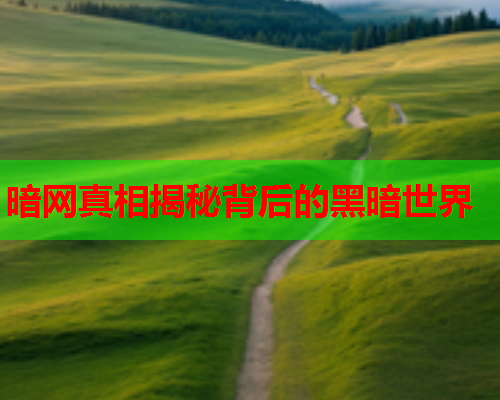 暗网真相揭秘背后的黑暗世界