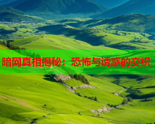 暗网真相揭秘：恐怖与诱惑的交织