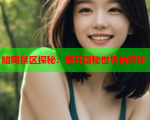 暗网禁区探秘：揭开隐秘世界的面纱