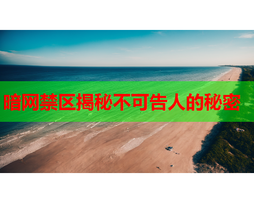 暗网禁区揭秘不可告人的秘密