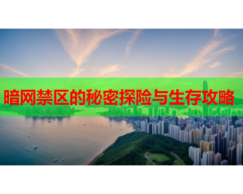 暗网禁区的秘密探险与生存攻略