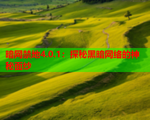 暗网禁地4.0.1：探秘黑暗网络的神秘面纱