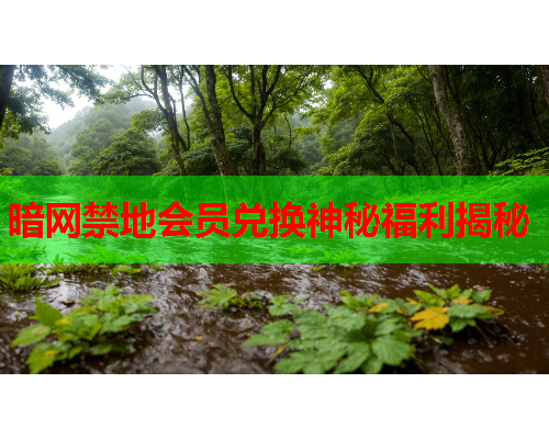 暗网禁地会员兑换神秘福利揭秘