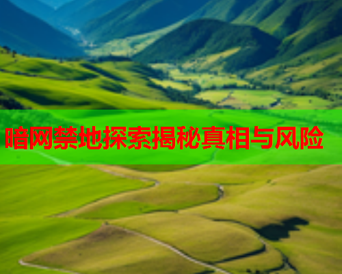 暗网禁地探索揭秘真相与风险
