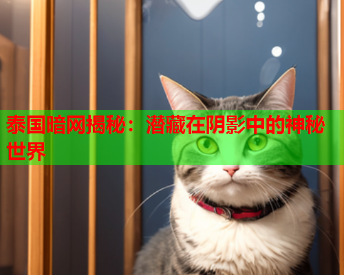 泰国暗网揭秘：潜藏在阴影中的神秘世界