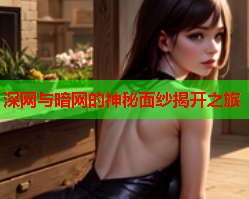 深网与暗网的神秘面纱揭开之旅