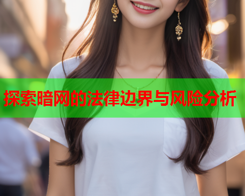 探索暗网的法律边界与风险分析