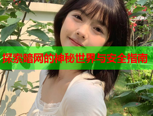 探索暗网的神秘世界与安全指南