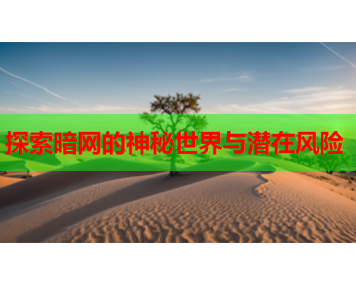 探索暗网的神秘世界与潜在风险