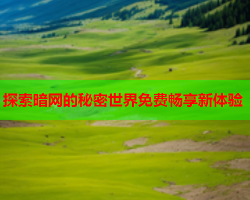 探索暗网的秘密世界免费畅享新体验