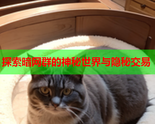 探索暗网群的神秘世界与隐秘交易