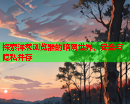 探索洋葱浏览器的暗网世界，安全与隐私并存