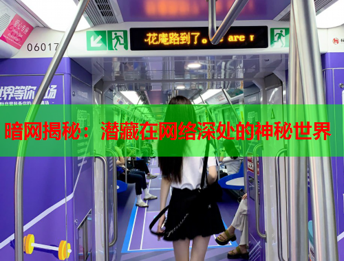 暗网揭秘：潜藏在网络深处的神秘世界