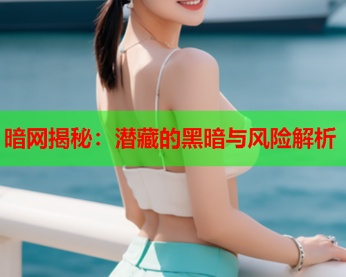 暗网揭秘：潜藏的黑暗与风险解析