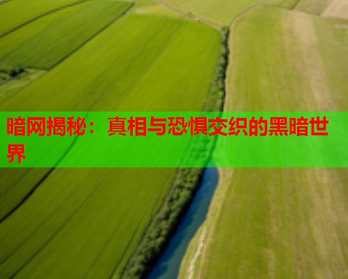 暗网揭秘：真相与恐惧交织的黑暗世界