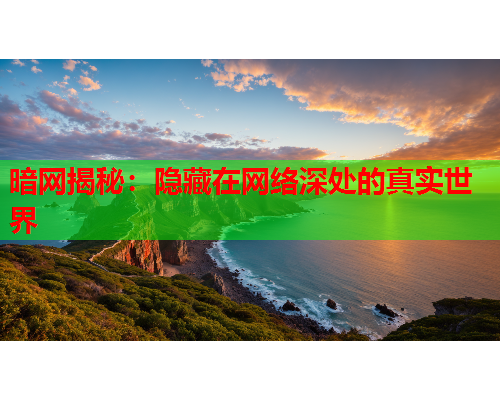 暗网揭秘：隐藏在网络深处的真实世界