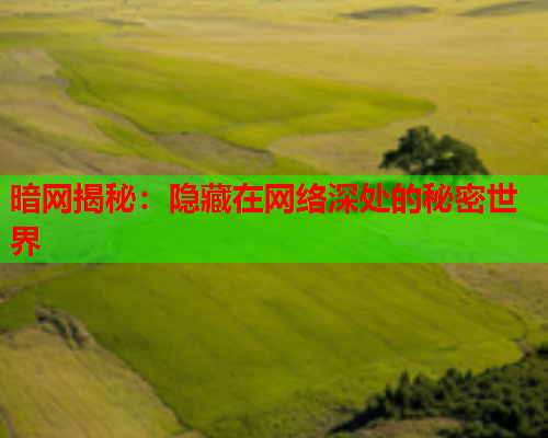 暗网揭秘：隐藏在网络深处的秘密世界