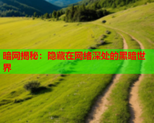 暗网揭秘：隐藏在网络深处的黑暗世界