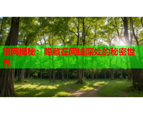 暗网揭秘：隐藏在网络深处的秘密世界