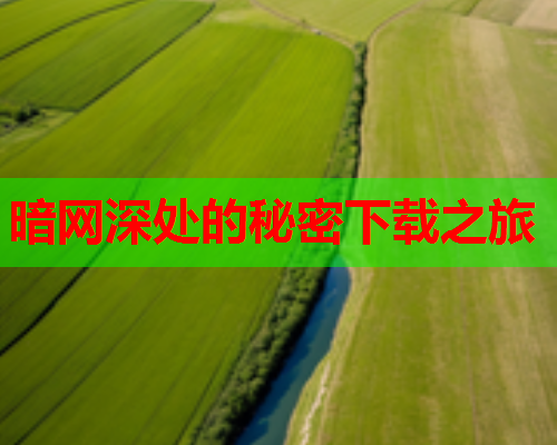 暗网深处的秘密下载之旅