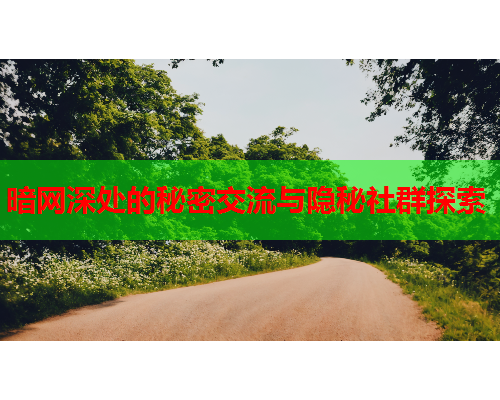 暗网深处的秘密交流与隐秘社群探索