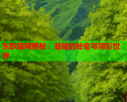 东欧暗网揭秘：潜藏的秘密与阴影世界