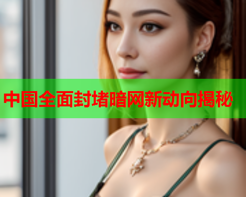 中国全面封堵暗网新动向揭秘